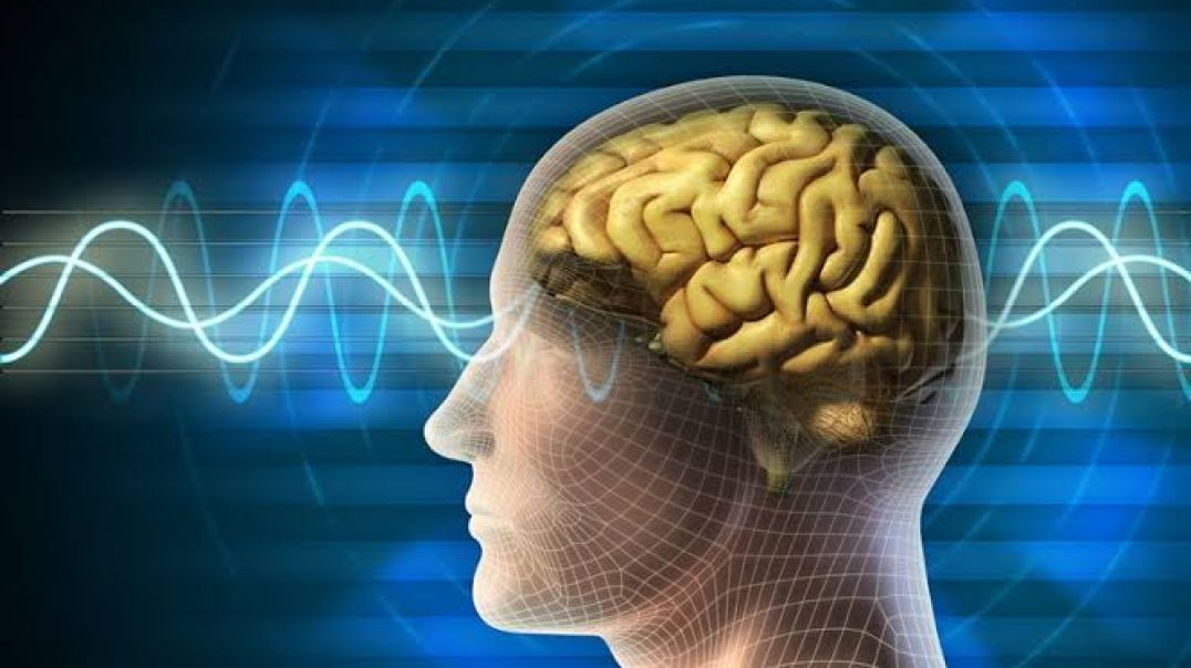 مغز شگفت انگیز انسان